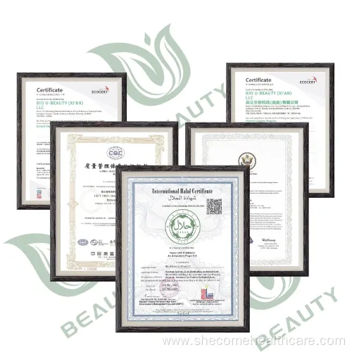 ISO Certified Prostate Health Capsules